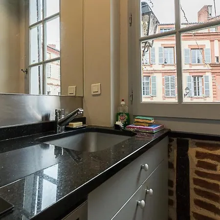 Le Logis De Sainte-Scarbes Apartment